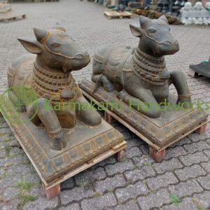 Nandi holy cow 120 cm.